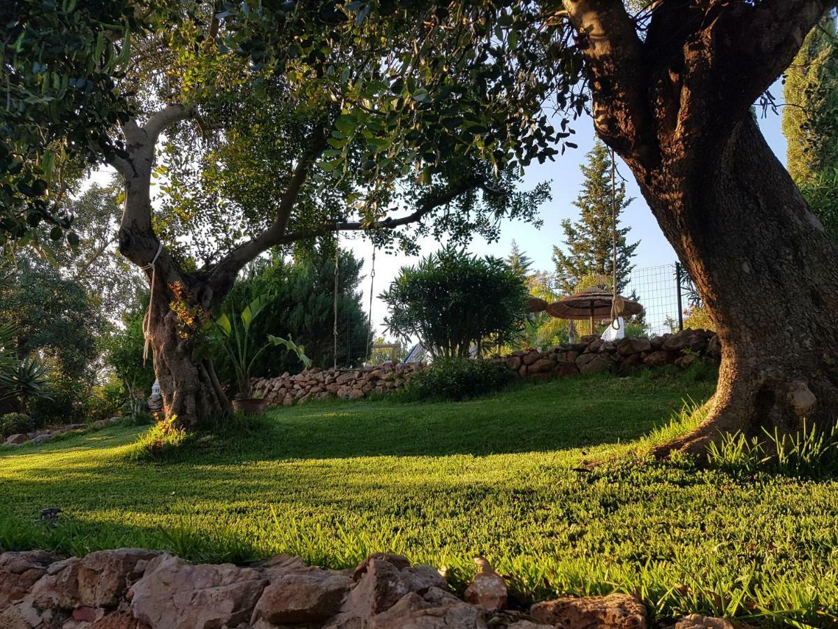 Hostal Quinta Teresinha Silves Exterior foto